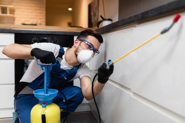 Best Pest Prevention Services  in Chimayo, NM