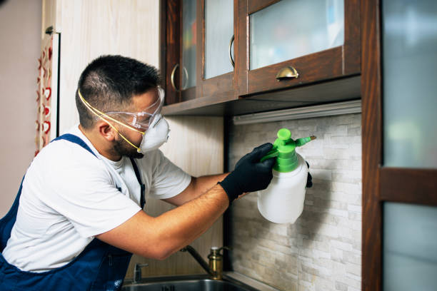 Best Affordable Pest Control Services  in Chimayo, NM