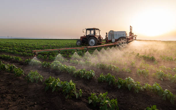 Pest Prevention Services in Chimayo, NM