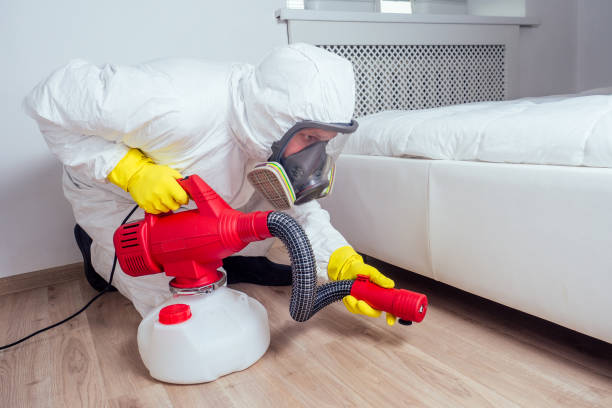 Best Mosquito Control Services  in Chimayo, NM