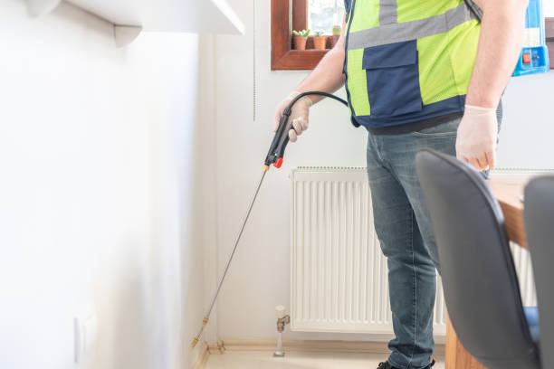 Flea Control Services in Chimayo, NM