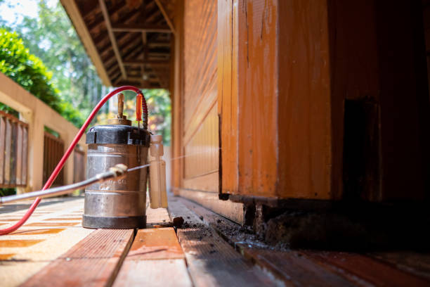 Best Exterminator Services  in Chimayo, NM