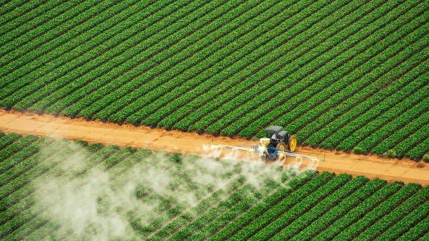 Best Pest Removal Services  in Chimayo, NM